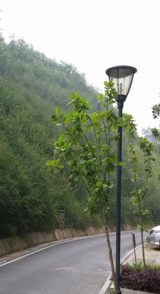 住宅小區(qū)邊坡環(huán)境復綠